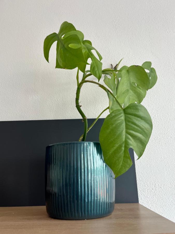 Monstera I Kolín Exterior foto